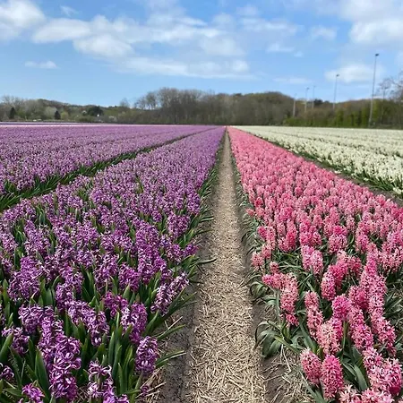 Prázdninový dům Hip In By Droomvilla